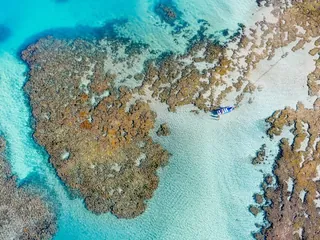 Descubram suas Crenças Centrais e Transformem suas Vidas